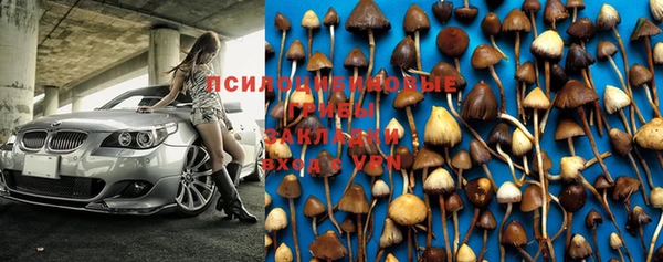 прущая мука Корсаков